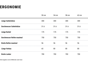 CUBE Kathmandu Hybrid Pro 800 E-Bike – Bild 7